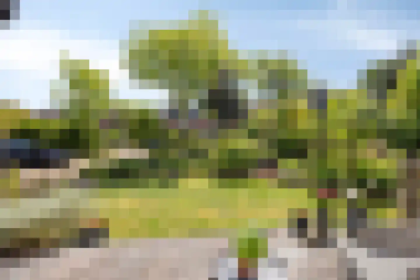 Maarten Mooystraat 5 Callantsoog thumbnail 45