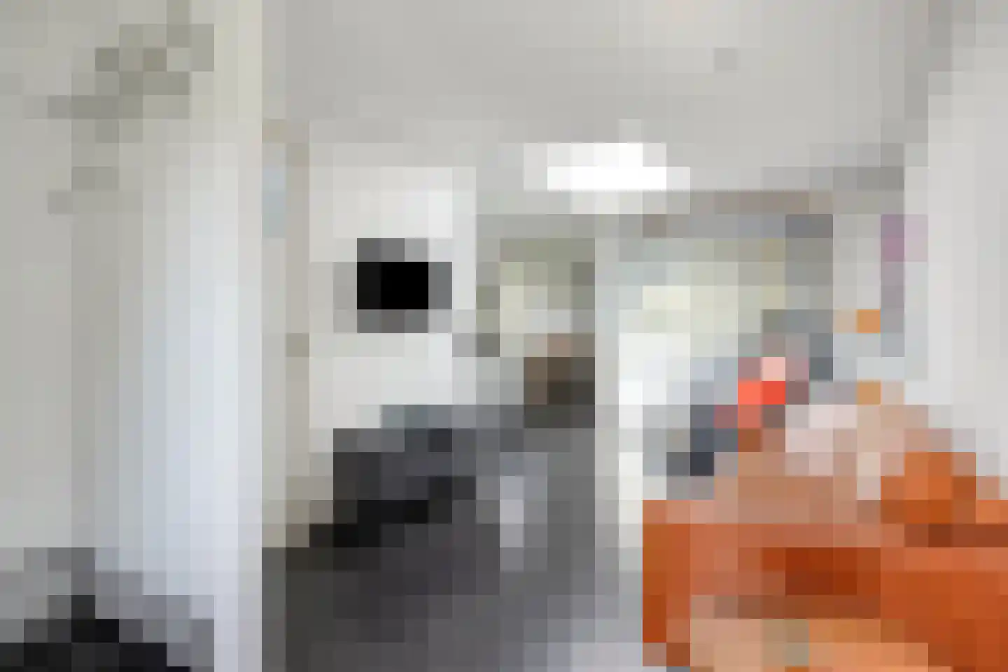 Maarten Mooystraat 5 Callantsoog thumbnail 47