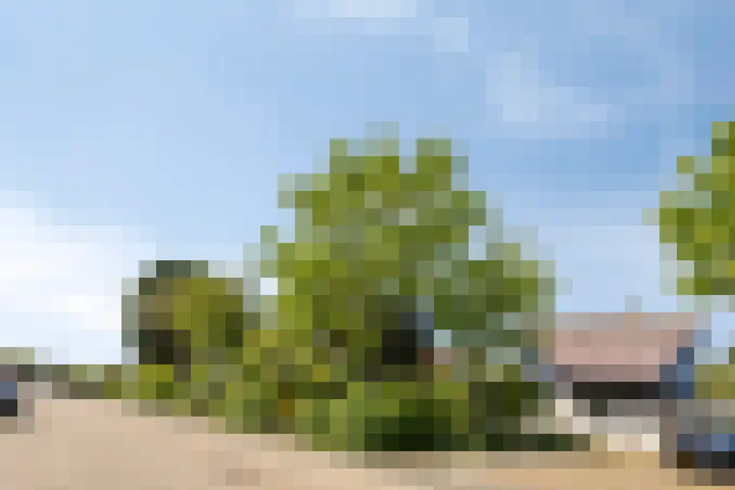 Maarten Mooystraat 5 Callantsoog thumbnail 5
