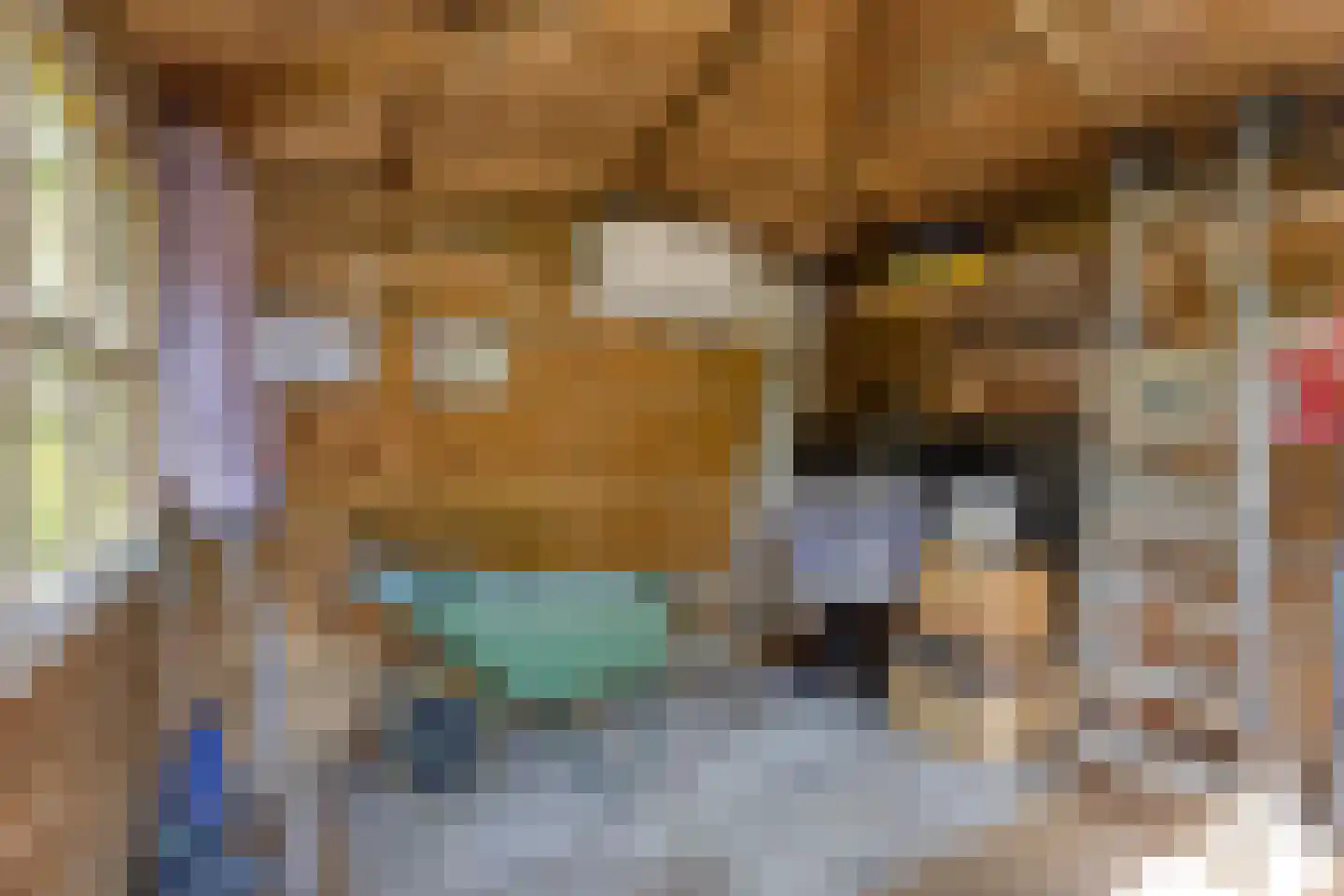 Maarten Mooystraat 5 Callantsoog thumbnail 61