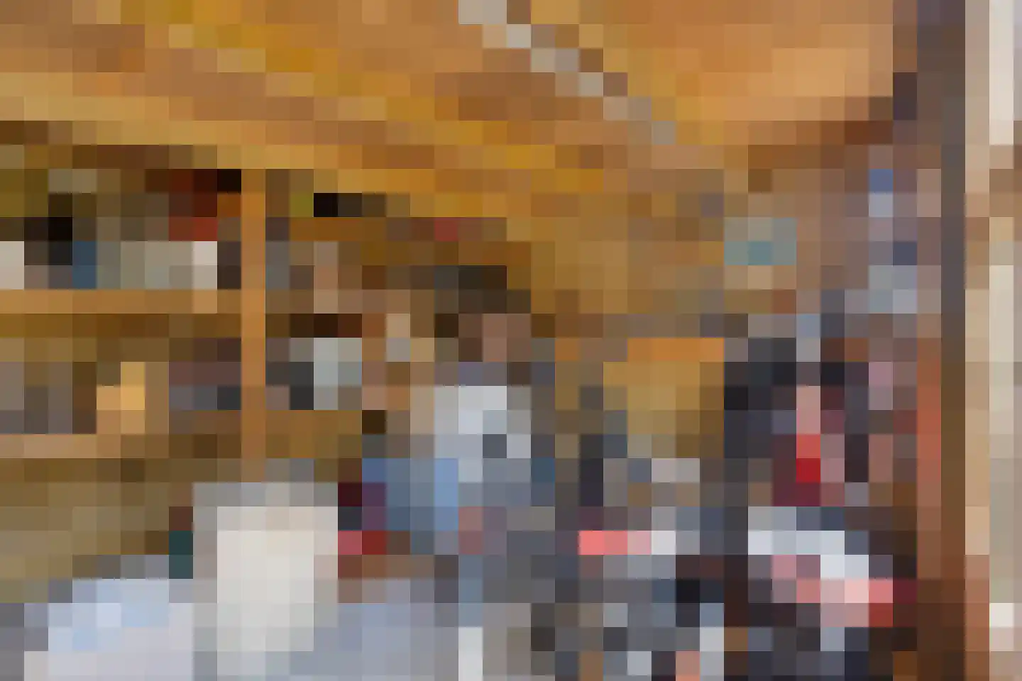 Maarten Mooystraat 5 Callantsoog thumbnail 63