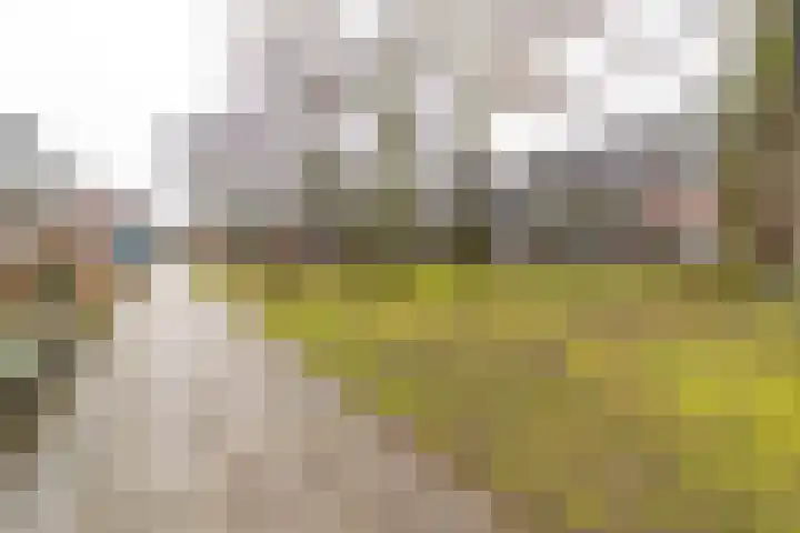 Maarten Rossaartpad 37 Amersfoort thumbnail 26