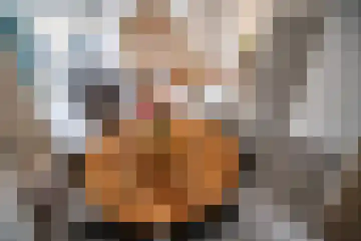 Maarten 't Hartstraat 19 Leiderdorp thumbnail 4