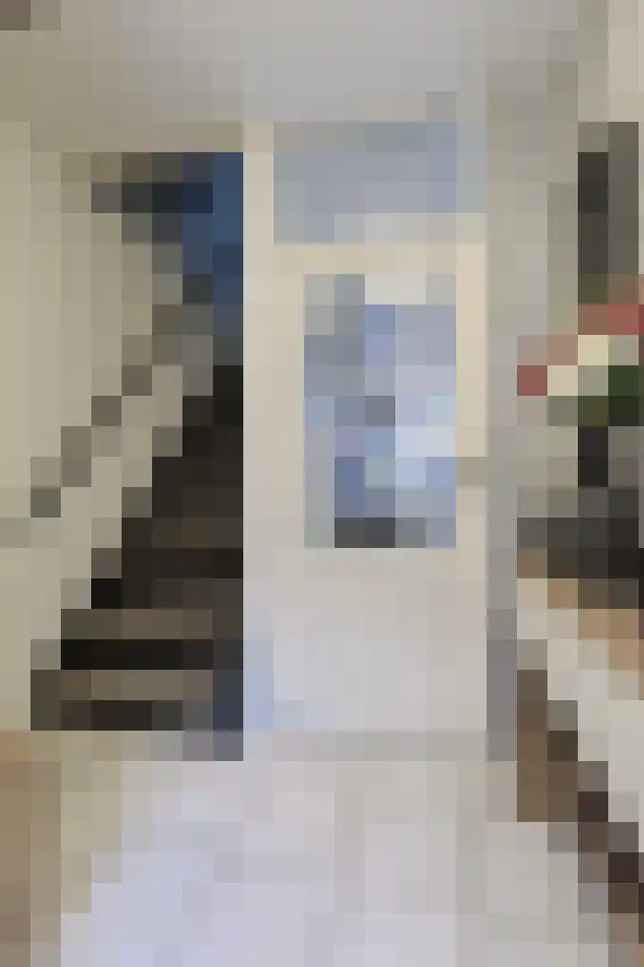 Maarten 't Hartstraat 21 Leiderdorp thumbnail 10