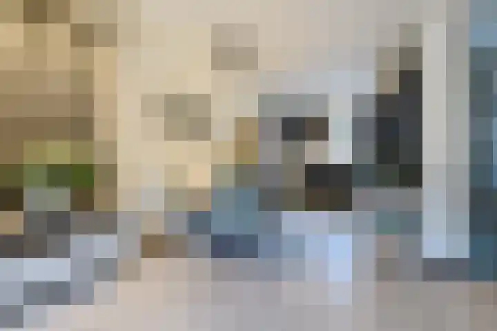 Maarten 't Hartstraat 21 Leiderdorp thumbnail 23