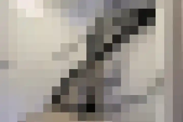 Maarten 't Hartstraat 21 Leiderdorp thumbnail 27