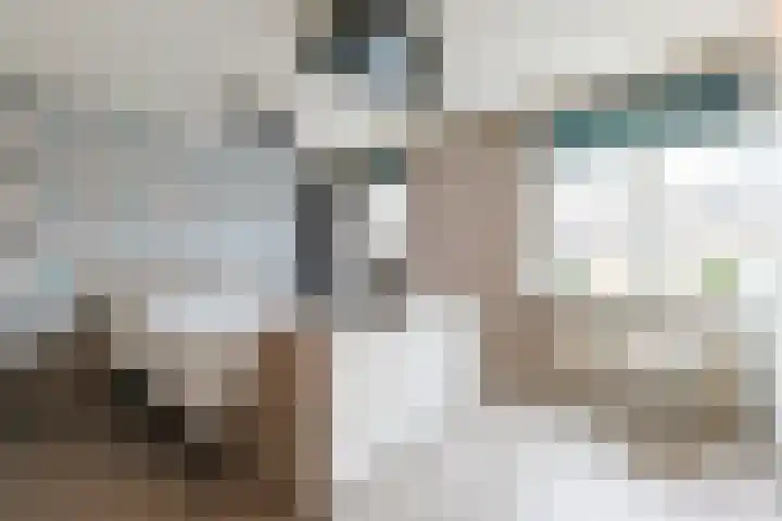 Maarten 't Hartstraat 21 Leiderdorp thumbnail 31