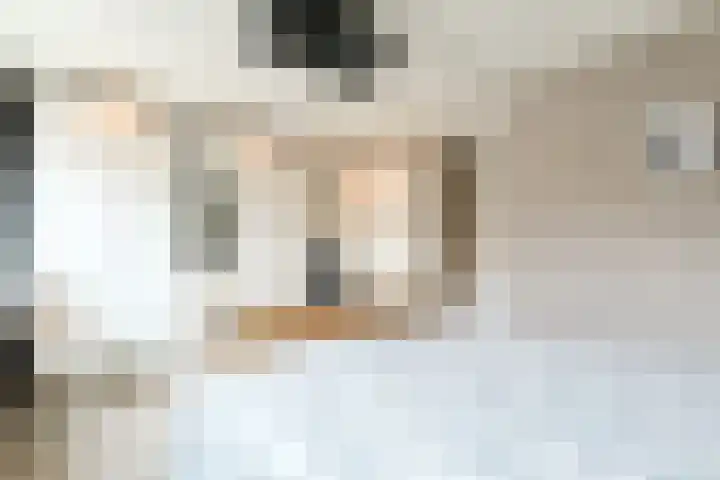 Maarten 't Hartstraat 21 Leiderdorp thumbnail 33