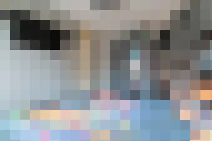 Maarten 't Hartstraat 21 Leiderdorp thumbnail 37