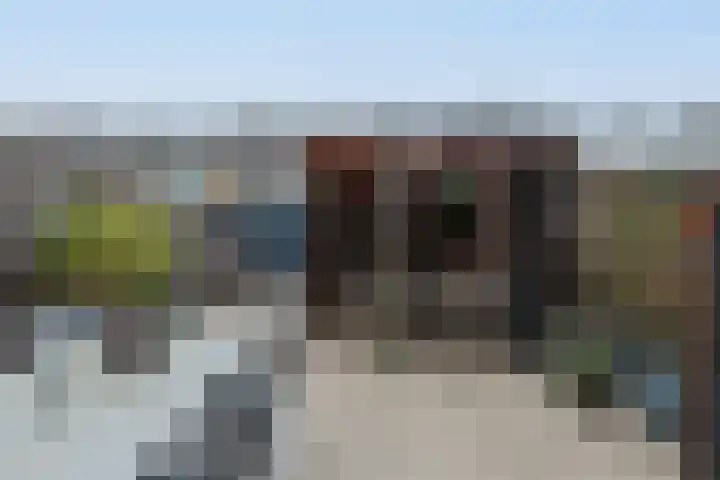 Maarten 't Hartstraat 21 Leiderdorp thumbnail 5