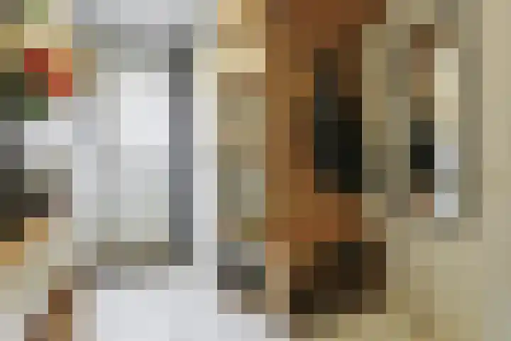 Maarten 't Hartstraat 21 Leiderdorp thumbnail 8