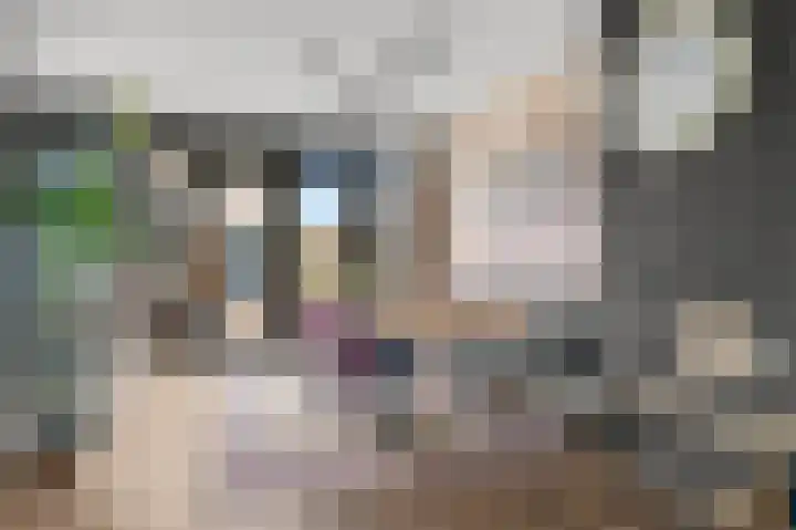 Maarten Tromplaan 57 Twello thumbnail 10
