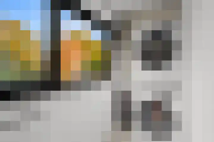 Maarten Tromplaan 57 Twello thumbnail 25