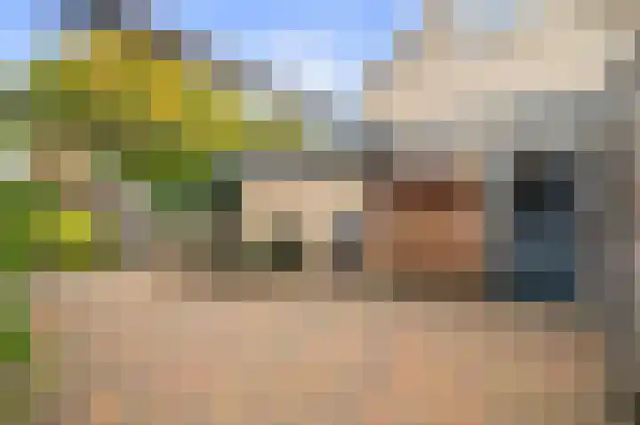 Maarten Tromplaan 57 Twello thumbnail 32