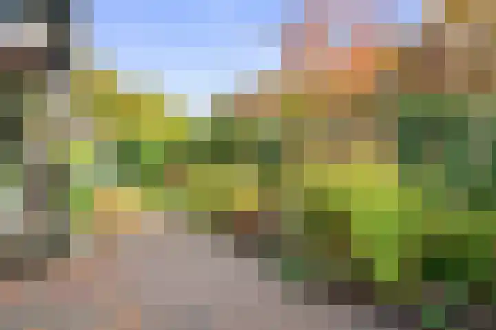 Maarten Tromplaan 57 Twello thumbnail 33