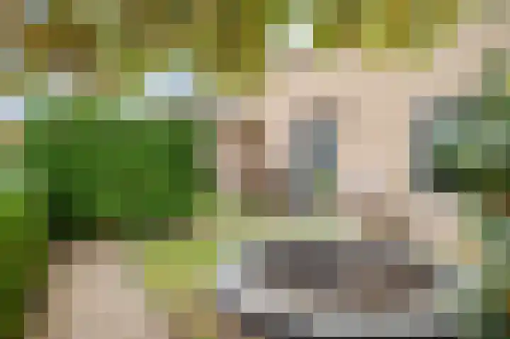 Maarten Tromplaan 57 Twello thumbnail 34