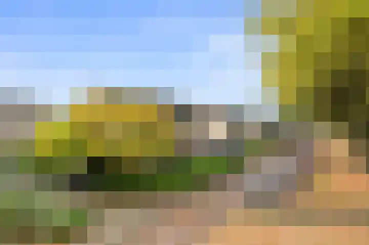 Maarten Tromplaan 57 Twello thumbnail 36