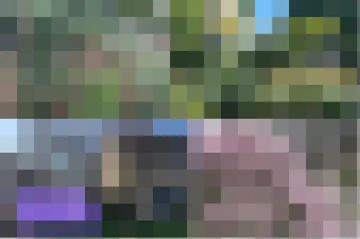 Maarten Tromplaan 57 Twello thumbnail 37