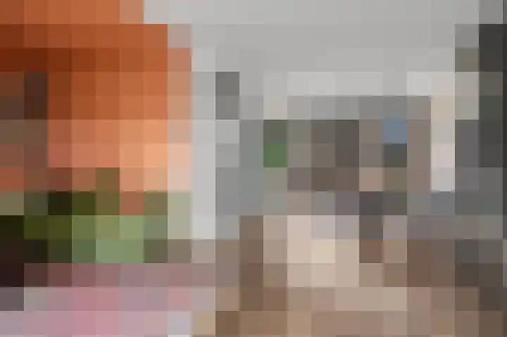Maarten Tromplaan 57 Twello thumbnail 7