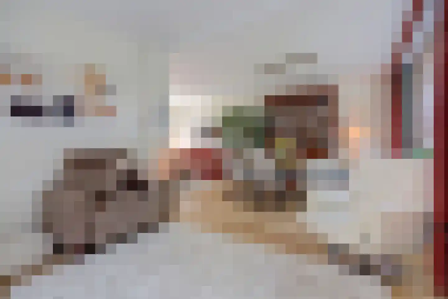 Maarten Tromplaan 73 Twello thumbnail 20