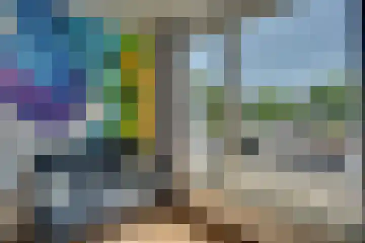 Maarten Trompstraat 11 Bergen op Zoom thumbnail 30