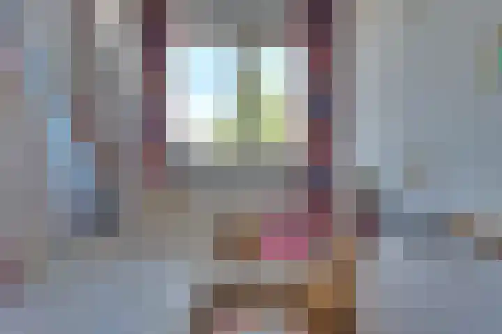 Maarten Trompstraat 11 Bergen op Zoom thumbnail 32