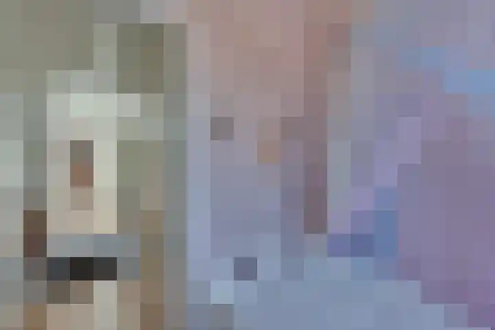 Maarten Trompstraat 11 Bergen op Zoom thumbnail 33