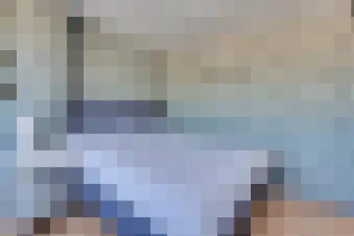 Maarten Trompstraat 11 Bergen op Zoom thumbnail 35