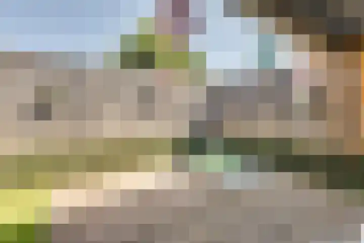 Maarten Trompstraat 11 Bergen op Zoom thumbnail 38