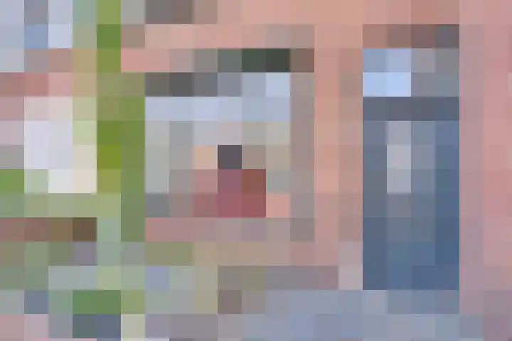 Maarten Trompstraat 11 Bergen op Zoom thumbnail 4