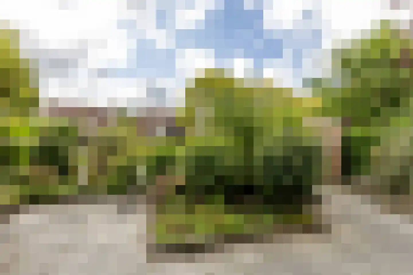 Maarten Trompstraat 14 Hellevoetsluis thumbnail 37