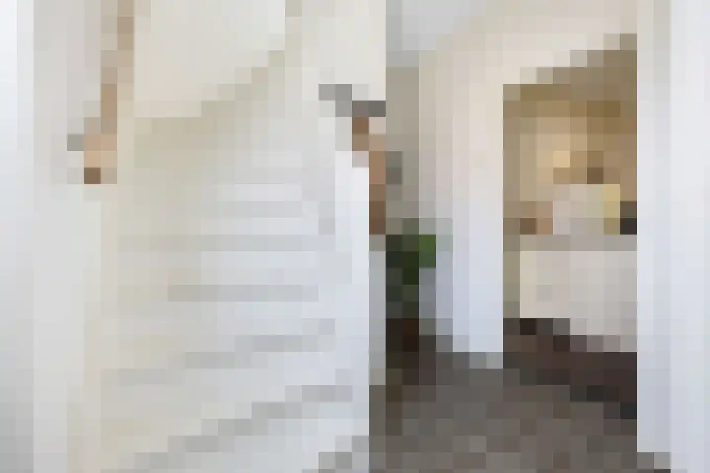Maarten Trompstraat 17 Waalre thumbnail 8