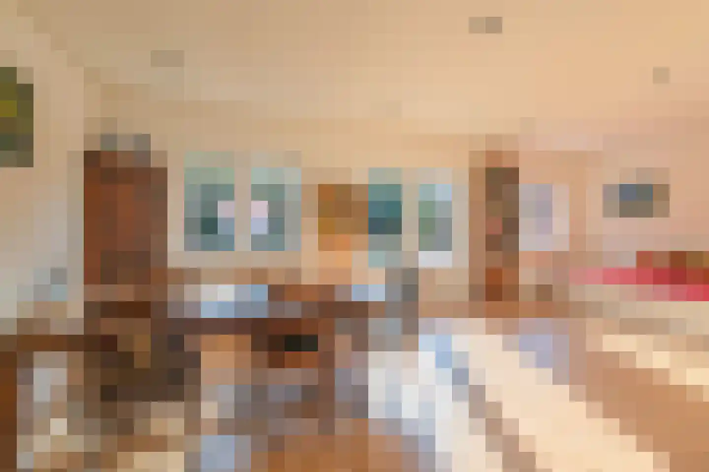 Maarten Trompstraat 17 Waalre thumbnail 9