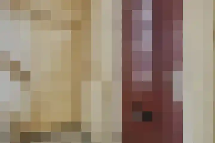 Maarten Trompstraat 20 Waalre thumbnail 11