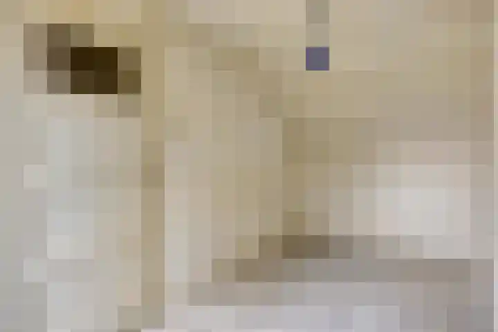 Maarten Trompstraat 20 Waalre thumbnail 19