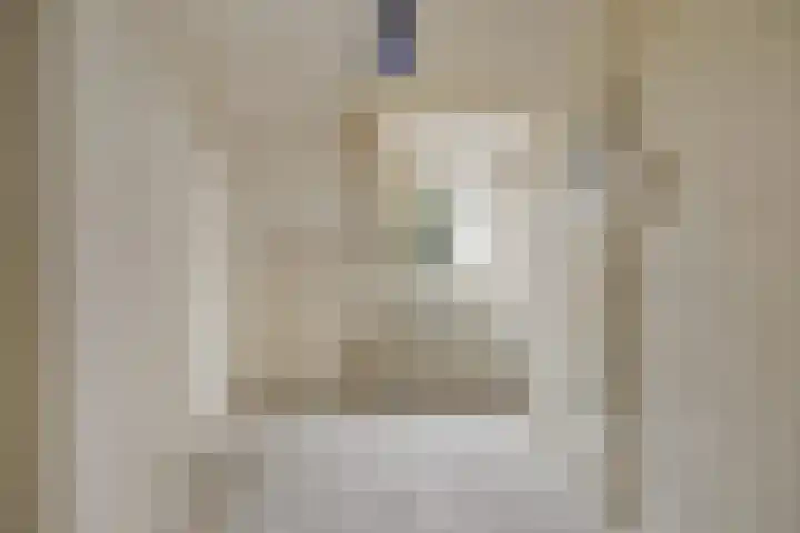Maarten Trompstraat 20 Waalre thumbnail 20