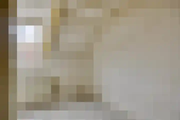 Maarten Trompstraat 20 Waalre thumbnail 21