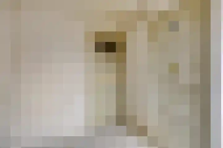 Maarten Trompstraat 20 Waalre thumbnail 22
