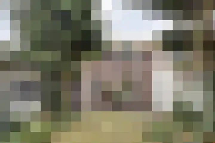 Maarten Trompstraat 20 Waalre thumbnail 26