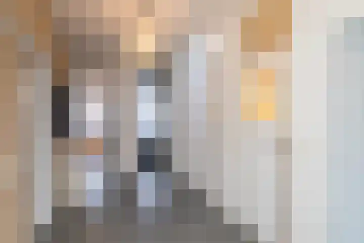 Maarten Trompstraat 20 Waalre thumbnail 5