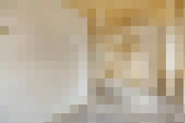Maarten Trompstraat 20 Waalre thumbnail 8