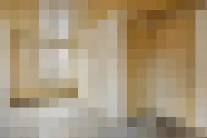 Maarten Trompstraat 20 Waalre thumbnail 9