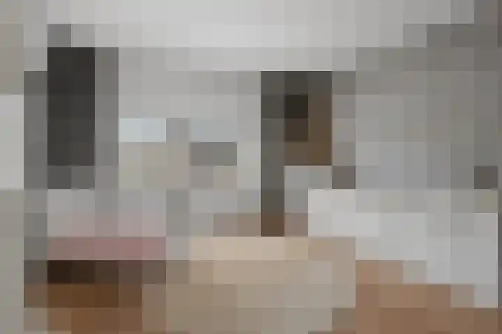 Maarten Trompstraat 21 Vught thumbnail 15