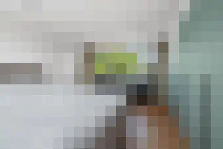 Maarten Trompstraat 21 Vught thumbnail 24