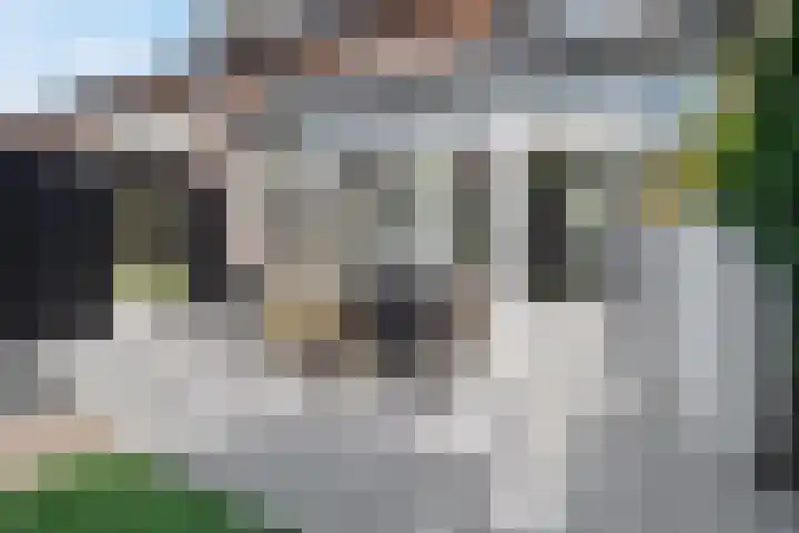 Maarten Trompstraat 21 Vught thumbnail 28