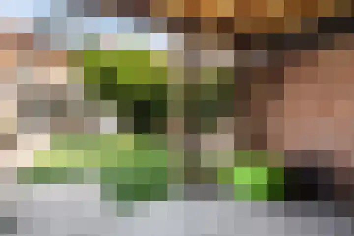 Maarten Trompstraat 21 Vught thumbnail 32