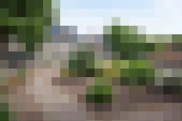 Maarten Trompstraat 21 Vught thumbnail 35