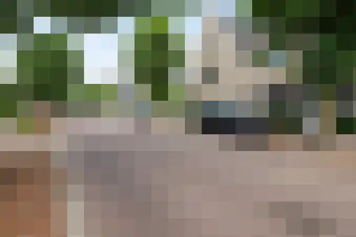 Maarten Trompstraat 21 Vught thumbnail 36