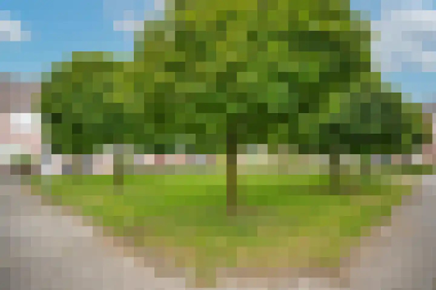 Maarten Trompstraat 24 's-Hertogenbosch thumbnail 37