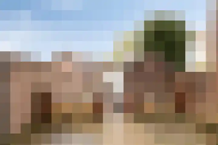 Maarten Trompstraat 26 Bergen op Zoom thumbnail 18